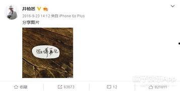 娱乐圈吃瓜感慨文案怎么写,揭秘明星背后的故事与真相