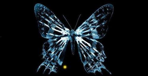 蝴蝶效应的图片,揭示微小变化引发巨大影响的神奇力量