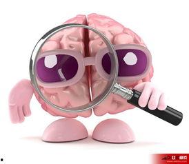 大脑娱乐刺激,探索大脑娱乐刺激的无限魅力